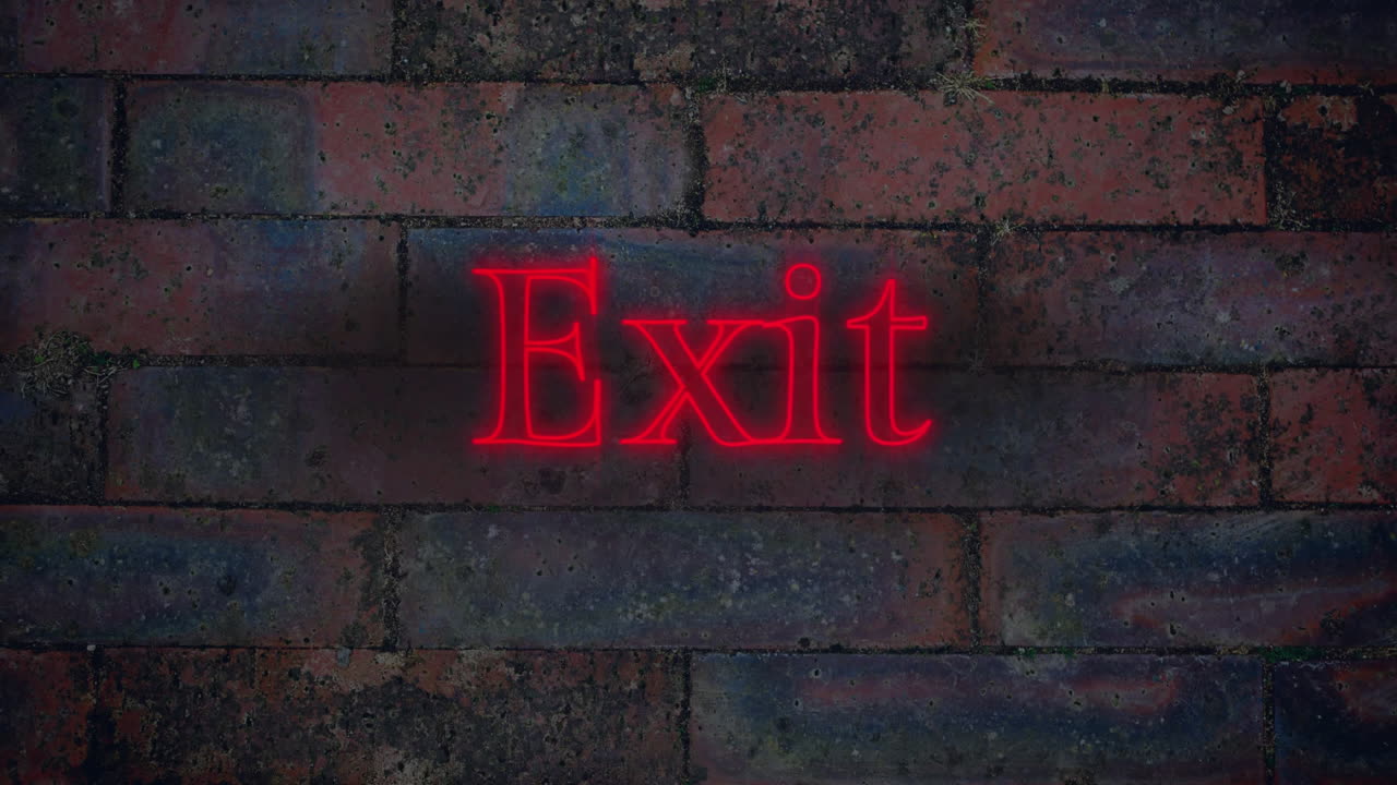 Exit neon sign on brick wall background