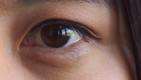 closeup of a brown eye blinking during a vision