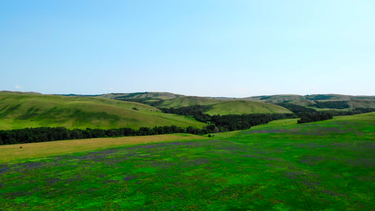 Rolling Green Hills Landscape