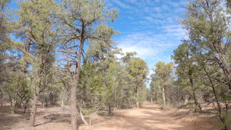 hyper lapse of a hike around the woods