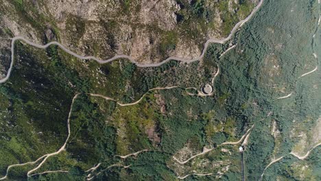 road and cars in winding mountain forest road