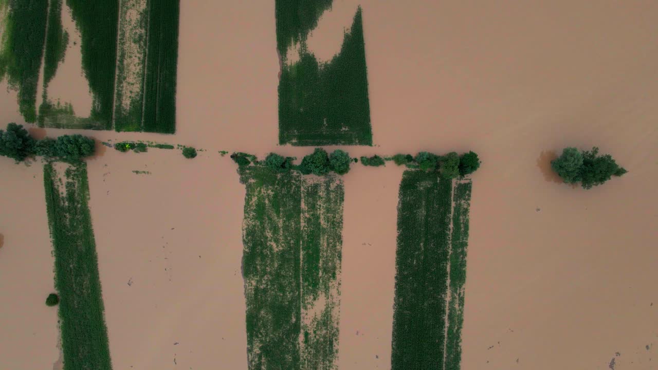 horripilantes imágenes aéreas de drones 4k de la región de podravje de eslovenia en agosto