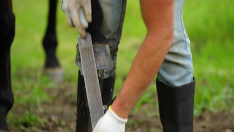 Horse-hoof-and-its-manual-adjustment-and-file-treatment