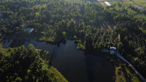 Eine-Luftaufnahme-Eines-Sees,-Der-Im-Tropischen-Palmendschungel-In-Südvietnam-Versteckt-Ist