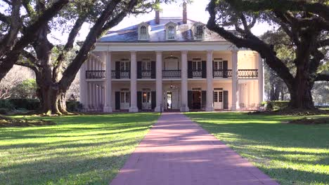 a beautiful gracious southern mansion amongst a treelined arcade