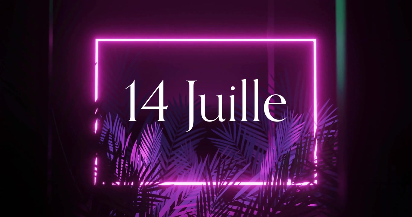 Testo '14 Juille' su una cornice rosa neon e animazione di foglie di palma.