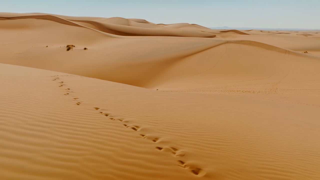 Footprints Leading Up a Golden Sand Dune in a Vast Desert Landscape