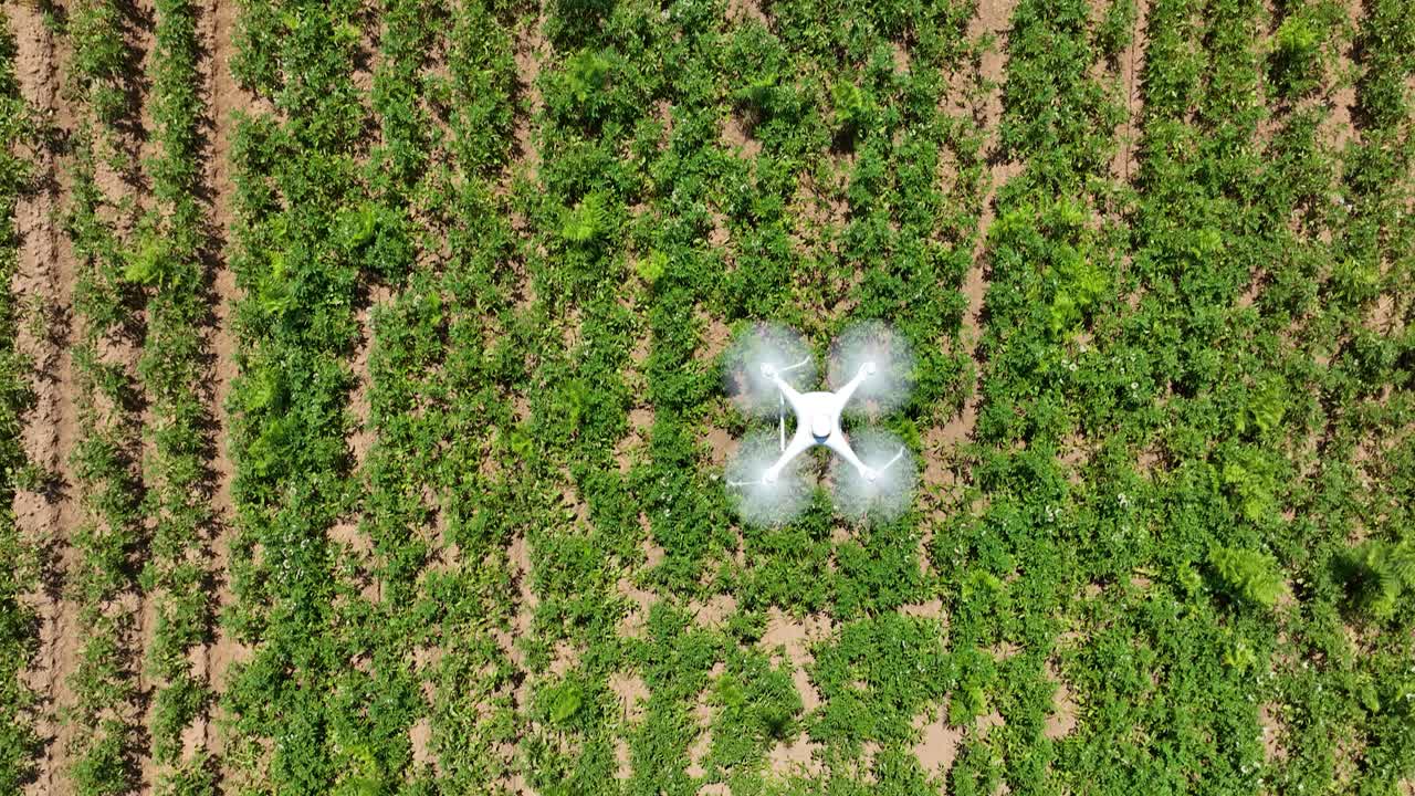 A top down drone follows multispectral drone surveying and mapping of a vast green field, contrast and scale