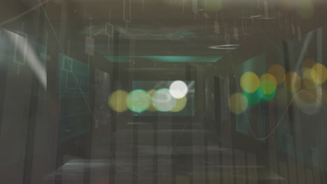 animación de la red de conexiones a través del procesamiento de datos