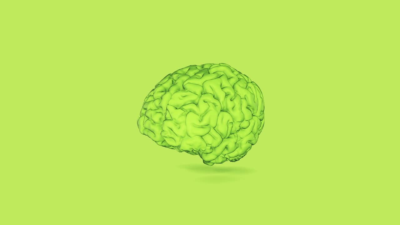 Human Brain 4K