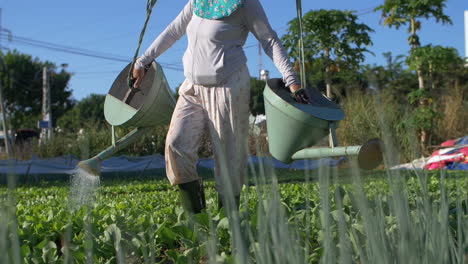 woman watering crops and vegetables with buckets slung on shoulders - organic urban farming concept