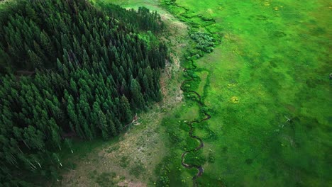 overhead view over green meadows and forested hills near the crested butte mountain, colorado, usa