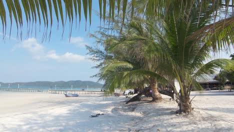 Palmeras-A-Lo-Largo-De-La-Playa-Tropical-De-Arena-Blanca,-Koh-Rong-Samloem