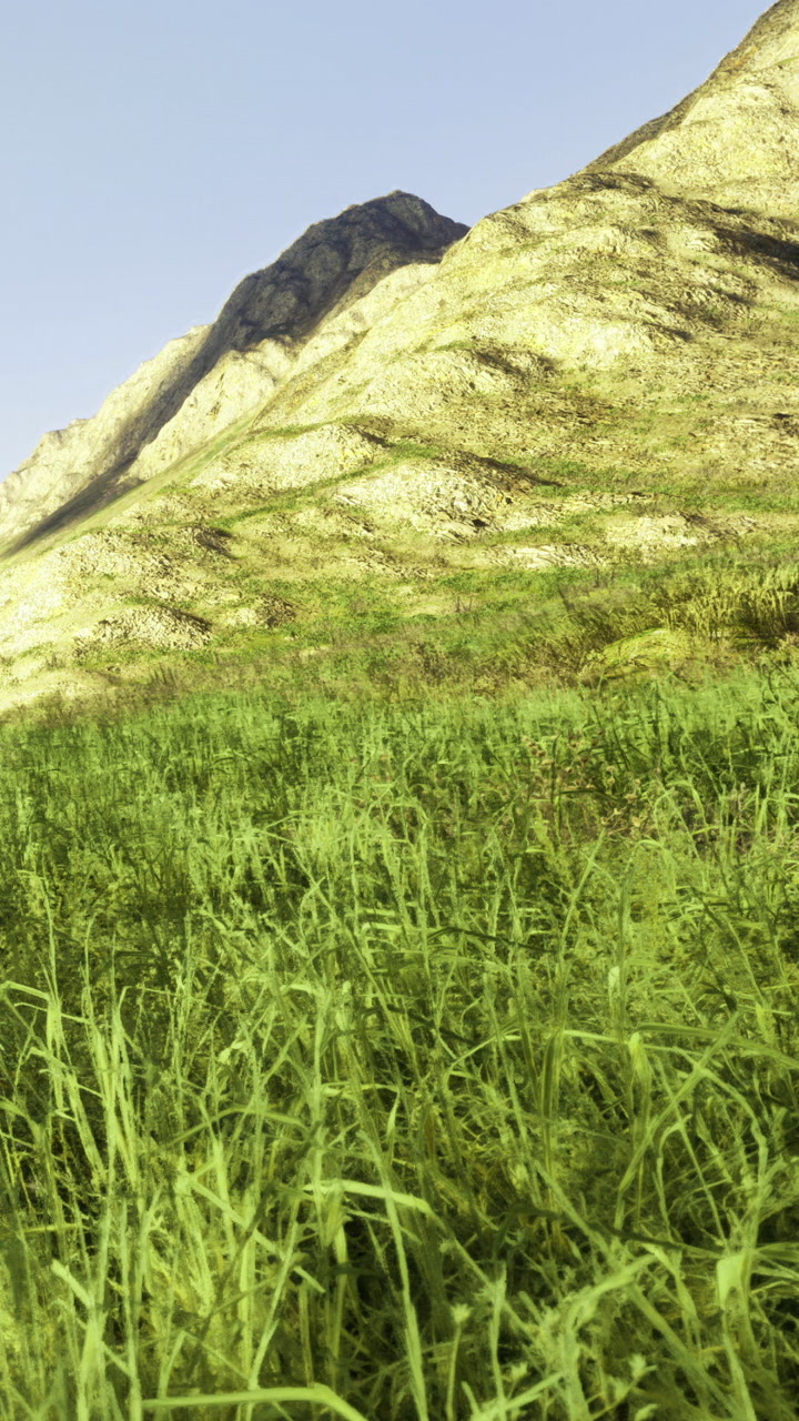 Green grass grows on mountain slopes during clear sky day in nature