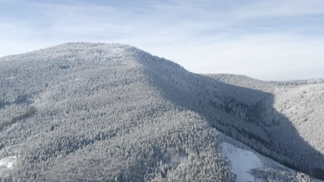 Toma-Aérea-De-árboles-Cubiertos-De-Nieve-En-Una-Montaña,-Paisaje-De-Destino-De-Invierno