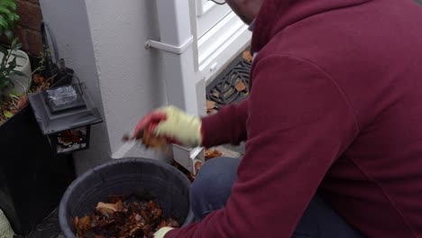 man clears leaves from drain in fall, autumn