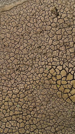 dried cracked earth