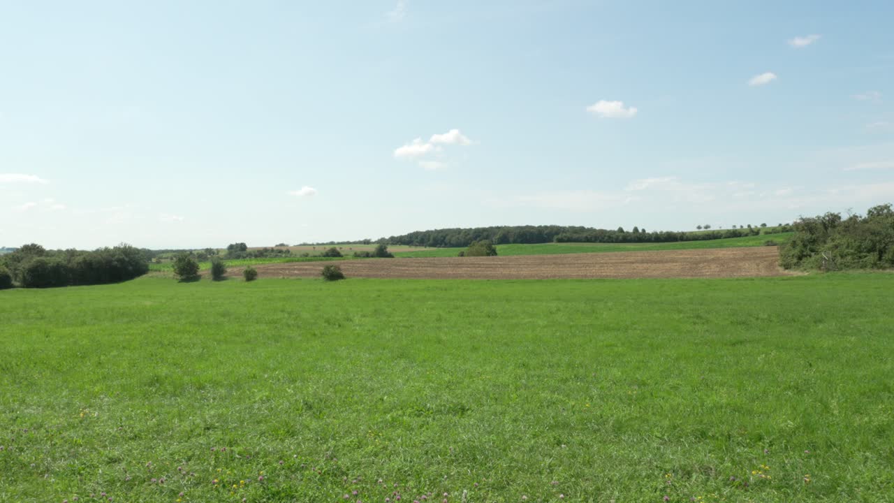 Open grassy field with cultivated dirt patch in the distance under blue sky, Moselle, France