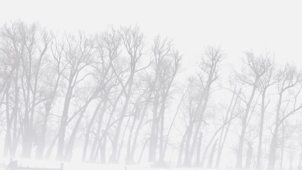 2023년 2월, 보즈먼 몬태나의 눈보라