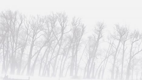 Tormenta-De-Nieve-En-Bozeman-Montana,-Febrero-De-2023