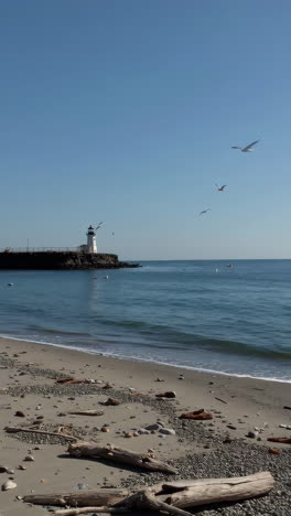 lighthouse on a rocky pier with beach and ocean under clear sky