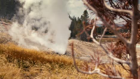 handheld of a small geyser steam plume shooting out of the ground