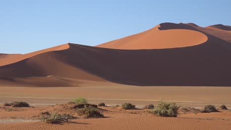 good establishing shot of namib naukluft national park in the namib desert and massive sand dunes namibia