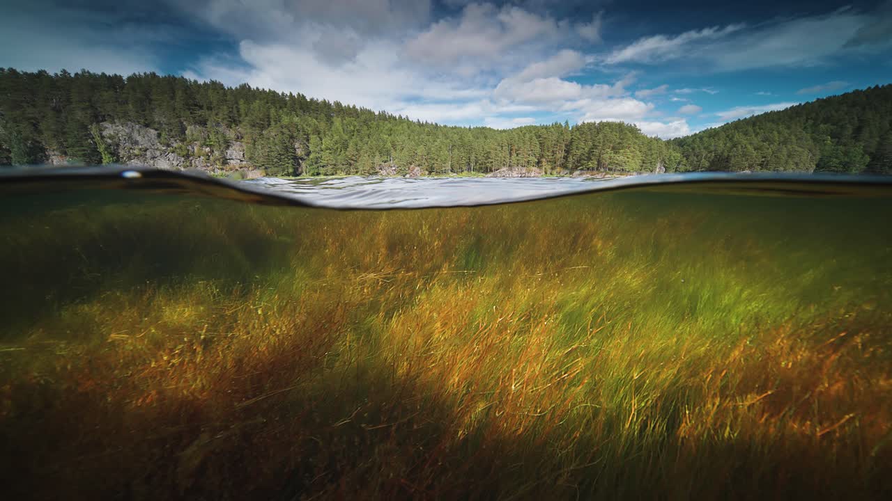 vista dividida por encima y por debajo del agua