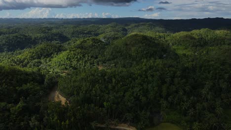 dense lush tropical jungle green forest at philippines aerial drone landscape wet season skyline at daylight, southeast asia