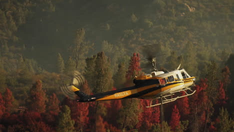 Chopper-Rettungspaket-Hilfe-Bei-Der-Ankunft-Im-Kern-Forest