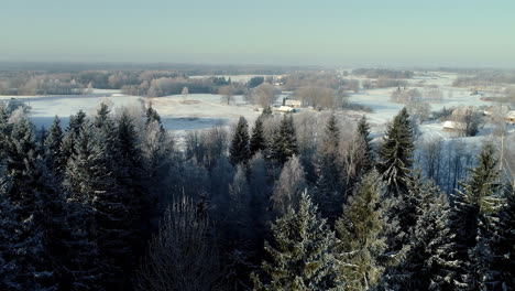 Vista-Aérea-Sobre-El-Bosque-De-Invierno-Cubierto-De-Nieve-En-Los-árboles-De-Invierno-Paisaje-Alpino-Durante-El-Amanecer