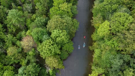 Eine-Absteigende-Luftaufnahme-Von-Menschen,-Die-Auf-Einem-Von-Wald-Gesäumten-Fluss-Raften