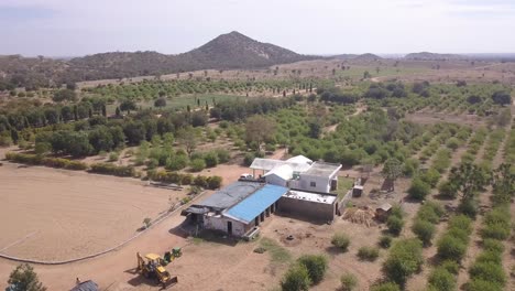 Farmhouse-And-Tractor-In-The-Barren-Land-With-Rows-Of-Green-Tree-In-Rajasthan,-India---aerial-drone