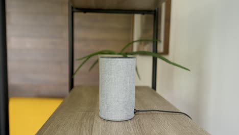 Smart-Home-Assistent-Auf-Dem-Regal-Neben-Aloe-Vera,-Bereit-Zur-Interaktion