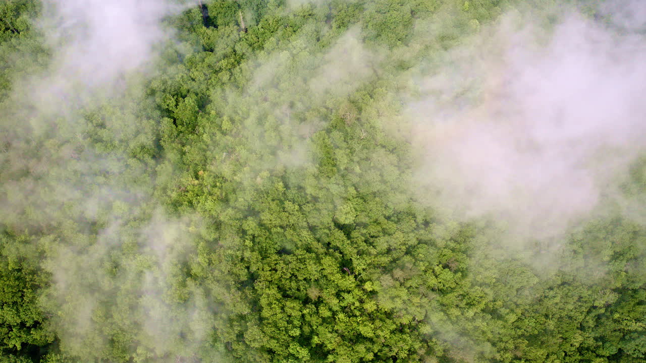 Soaring over the Great Smokies in atmospheric light.