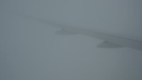 Plane View 11