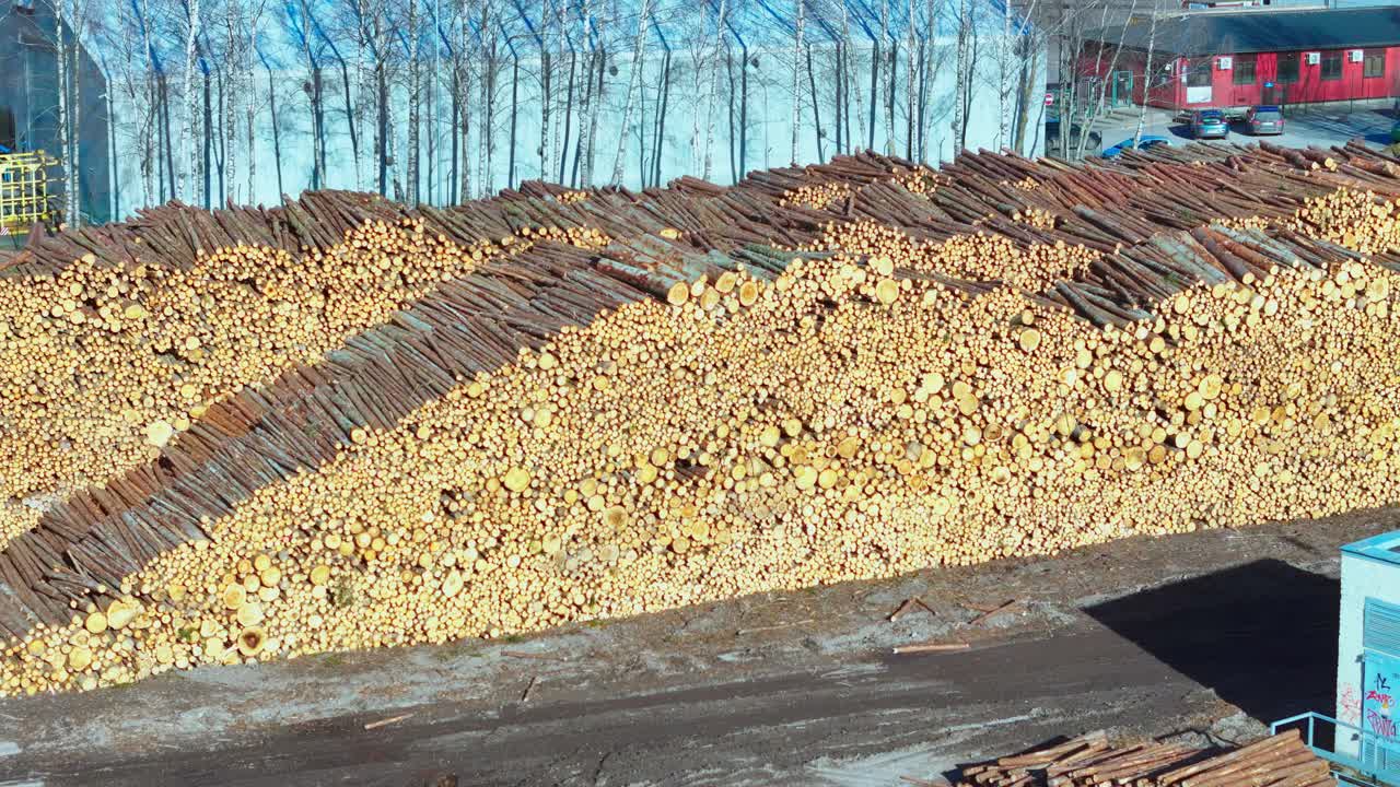 A towering pile of timber logs sorted by cut lies beside a lumber facility, surrounded by bare trees and blue sky, illustrating wood processing on an industrial scale.