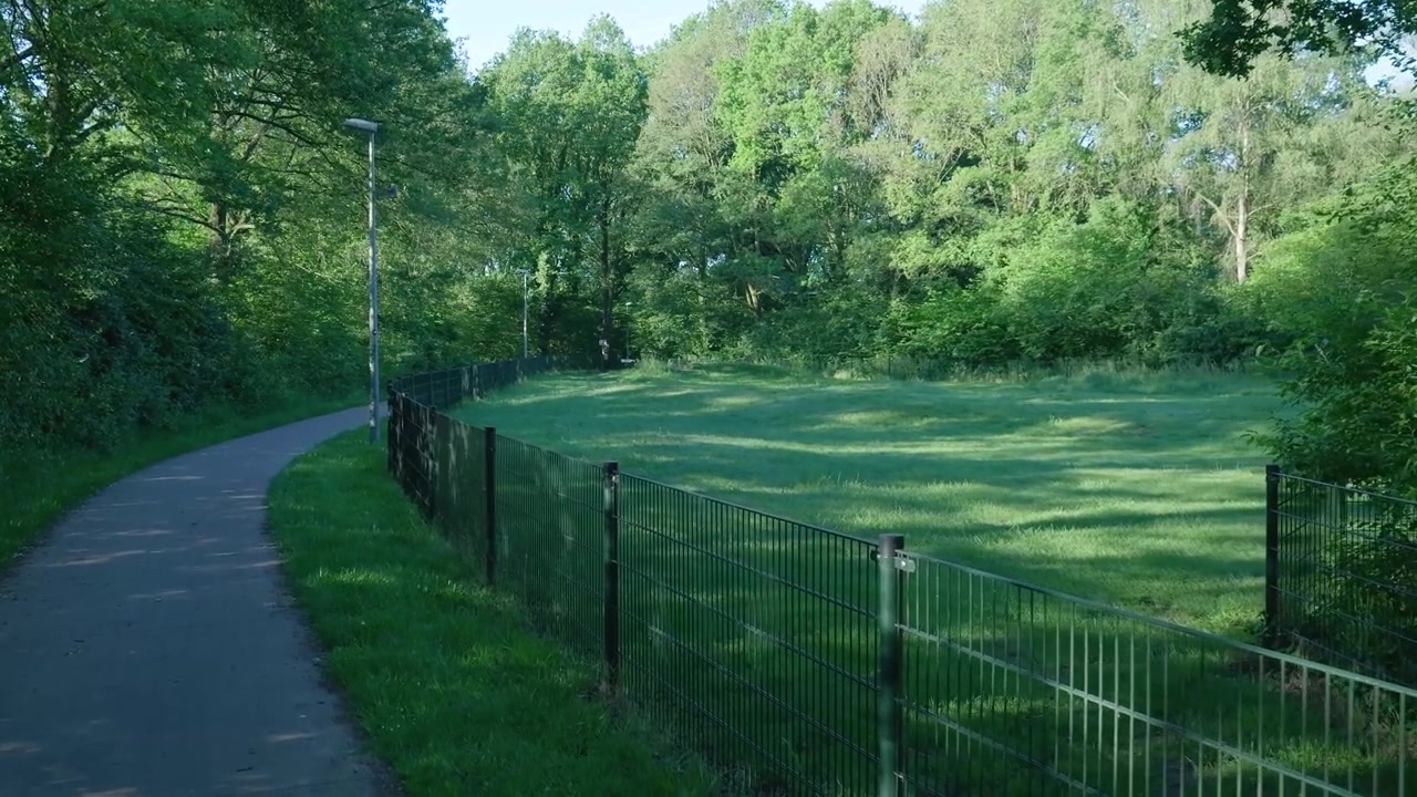 Dog Park Area with Signage in a Green Forest Setting