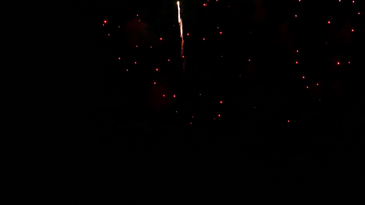 hermosa celebración abstracto colorido espectáculo de fuegos artificiales en el fondo de la noche