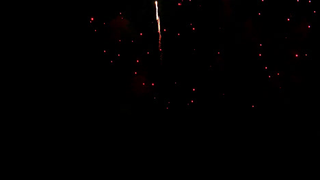 hermosa celebración abstracto colorido espectáculo de fuegos artificiales en el fondo de la noche