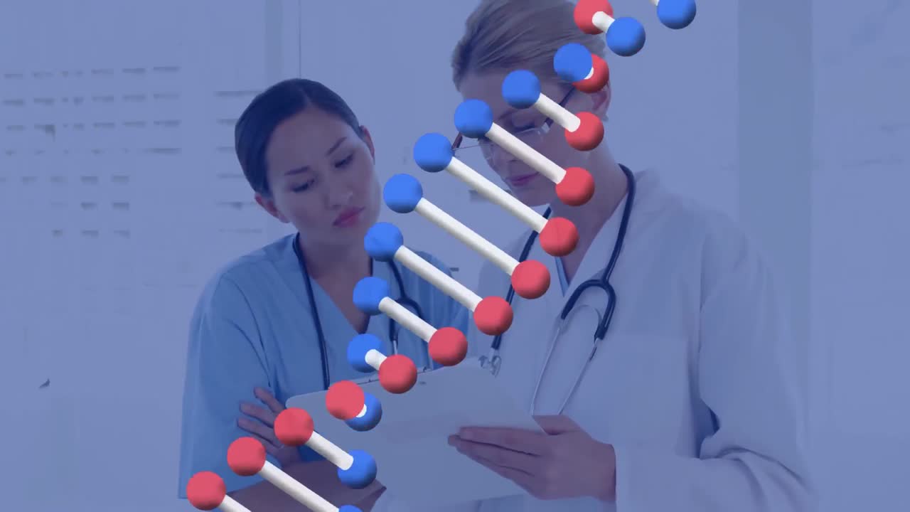 병원에서 보고서를 논의하는 두 명의 다양한 여성 의사에 대한 dna 구조의 애니메이션