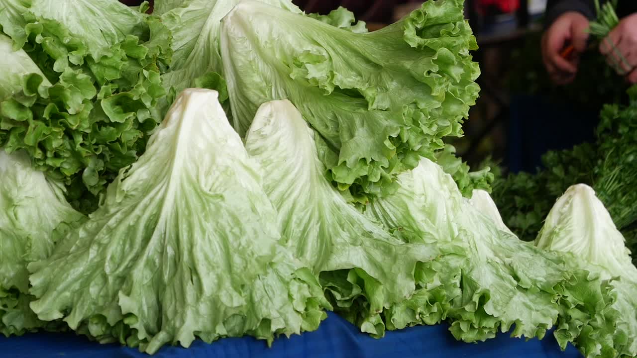 Fresh Lettuce at a Market