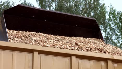 Huge-bucket-pouring-out-sawdust-in-pile-on-truck-body.-Front-loader-working