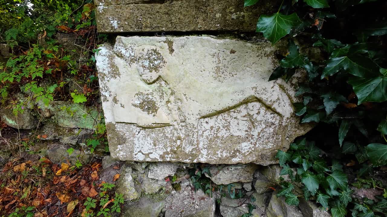 Ancient Stone Carving of an Animal on a Wall