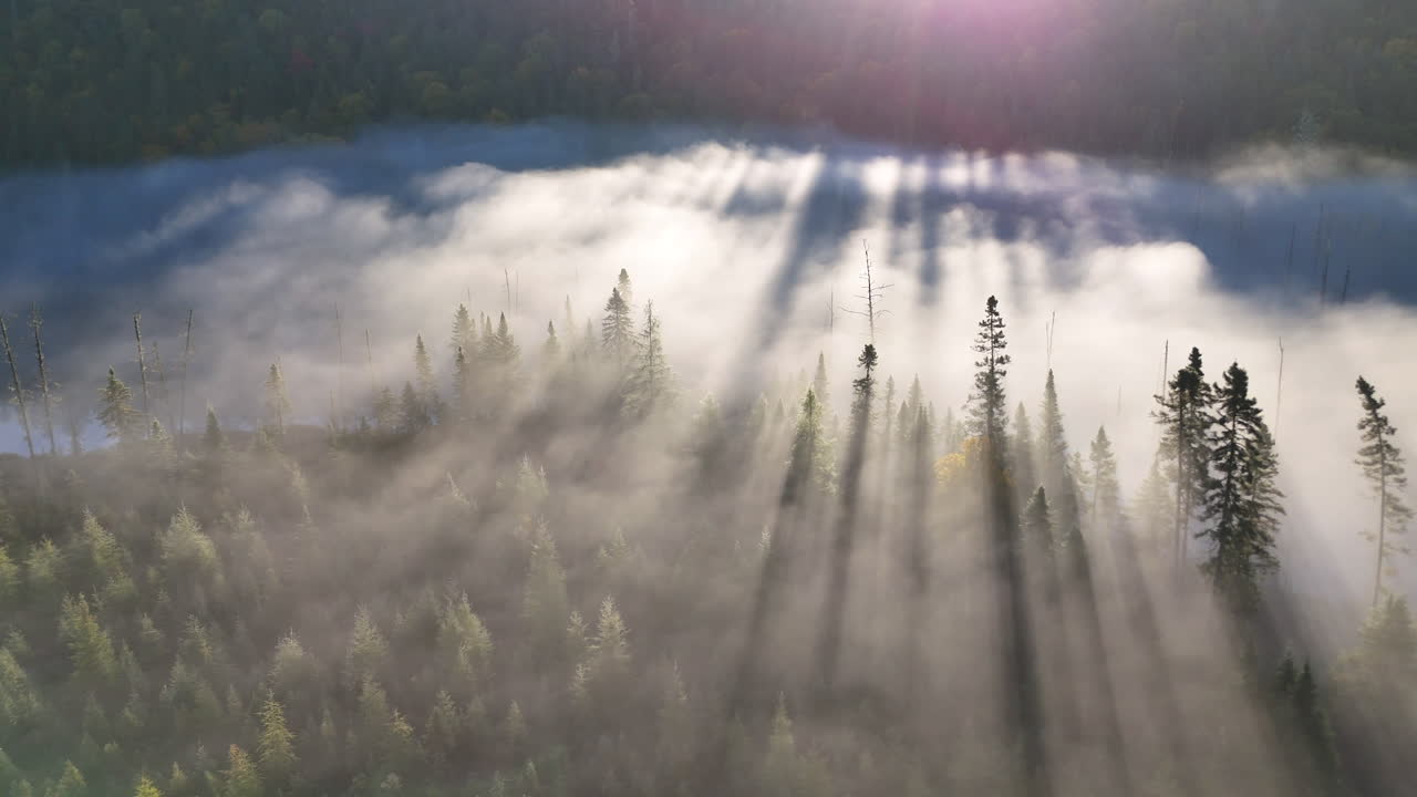 Aerial view of autumn forest and mountains in vivid colors with morning fog in Mauricie, Quebec, Canada. Soft sunlight illuminates the colorful foliage over peaceful wilderness