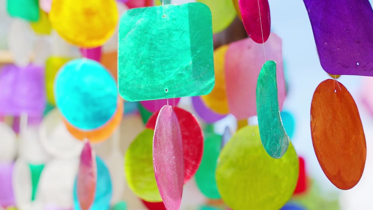 다채로운 데기 바람 종