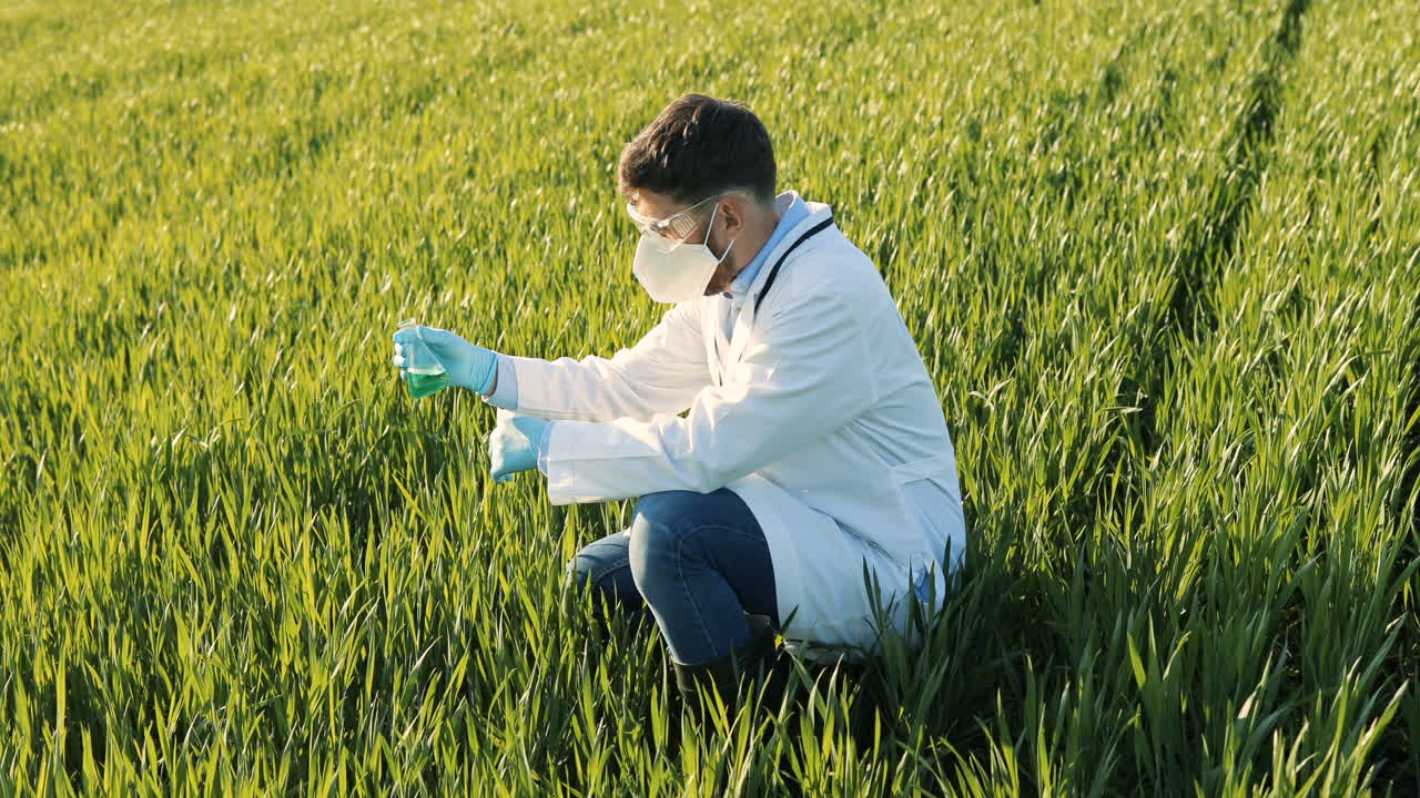 hombre investigador en cuclillas y sosteniendo un tubo de ensayo mientras realiza el control de plagas en el campo verde