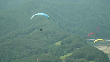 many tandem paragliders slowly gliding down on green mountains background in danyang city, south korea