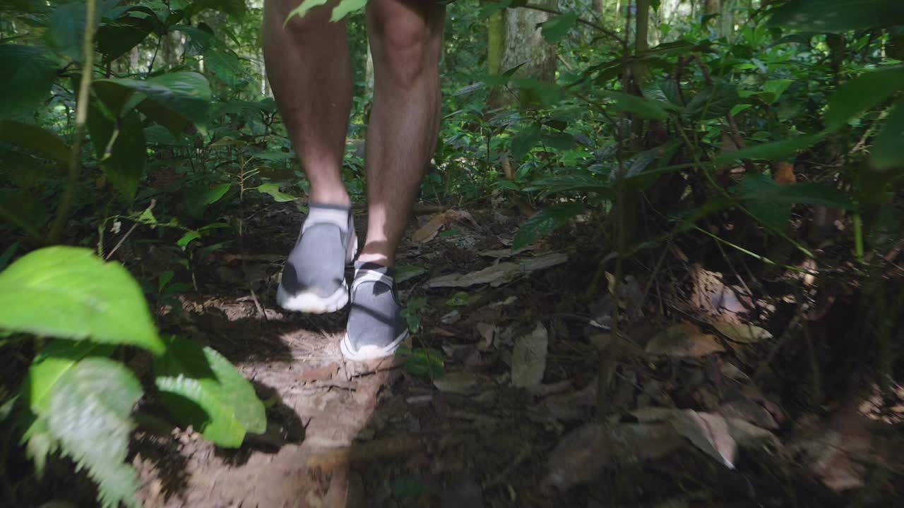 Piernas caminando en el bosque, cámara lenta
