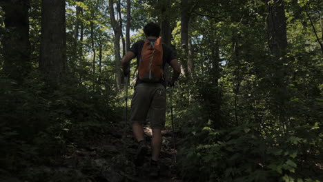 man walking up a hill with poles on a foresty route in summer afternoon